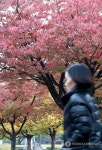 <내일날씨> 초겨울 추위에 곳곳 영하권…서울 -2도