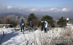 눈이 신기한 동남아 관광객들