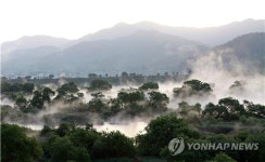 물안개 피어오르는 곡성 섬진강 침실습지