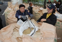 공공비축미 매입현장 찾은 대전시장