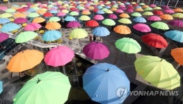 우산꽃이 피었습니다