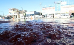 슈퍼문 영향…전국 해안 저지대 곳곳서 침수피해