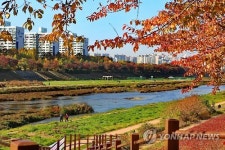가을의 절정, 안양천 제방길