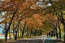 가을의 절정, 안양천 제방길