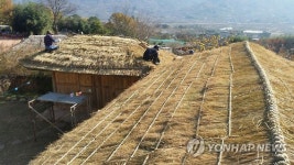 하동 토지마을 초가 이엉잇기