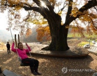 만추의 그네타기