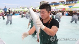 <주말 N 여행> 제주권: 제철 방어 왔어요…고소·쫀득 1ｍ·4㎏ 일품 대물 굿
