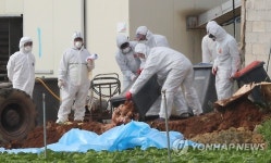 경기도 양주 양계장도 AI 의심신고…200여마리 폐사