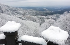 눈꽃세상 이룬 대관령