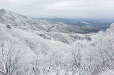 눈꽃세상 이룬 대관령