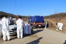 천안 동면 이어 병천 오리농장도 AI 양성