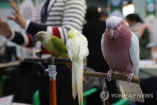 제20회 코리아펫쇼 개최