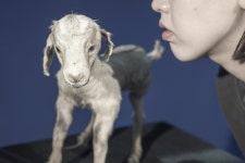 아트스페이스풀 공감오류展·디에고와 프리다 사진전