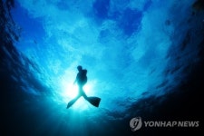 수면으로 올라가는 제주 해녀