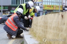 화단 동해방지 작업