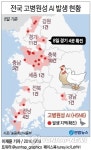 경기 4곳 추가 확진…전국 확진농가 100개 육박