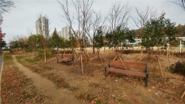 군산시 학교 4곳에 친환경 명상 숲 조성
