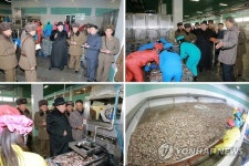 김정은, 인민군 15호 수산사업소 시찰