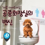 <카드뉴스> 저를 아껴주세요 공중화장실의 변신
