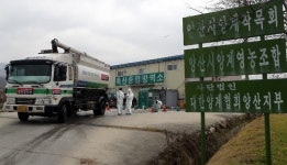 AI 막아야죠…산란계 집산지 양산 방역 초비상