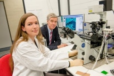 고추 매운맛 성분 캡사이신, 유방암세포 성장 억제