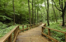 겨울 토함산 휴양림 오면 일출 보고 힐링도 하고
