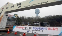  AI 우려해 휴관한 군산 금강철새조망대