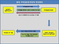 결혼 4개월만에 아내 하반신 마비…국제결혼 피해 속출