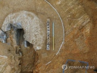 남양주에서 발굴된 화협옹주 묘