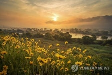 침실습지의 봄