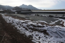 AI 매몰지 없어 임대농장들 발동동…일부 매몰 지연