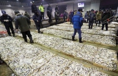 새해 첫 고기 들여가세요