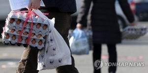 태영자연란 영농조합법인 | 설 앞두고 수입 신선란 긴급 공수…내일부터 계란 '無관세'(종합)