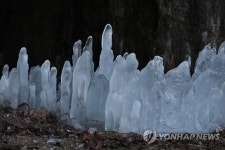 바닥에서 올라오는 역고드름