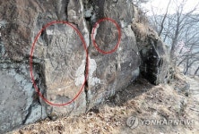 상주서 발견된 암각화