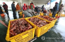 몸값 치솟은 대게