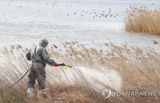 AI 바이러스 확산을 막아라