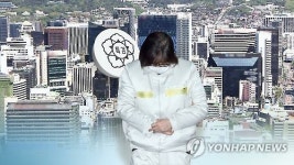 [단독] 관세청, 朴대통령-최태원 면담 직후 면세점 확대 검토