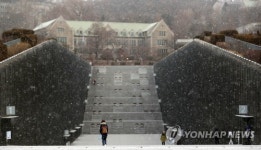 강추위와 함께 찾아온 눈