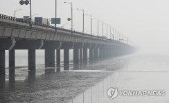 여기있던 다리는 어디에?