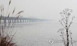 미세먼지에 사라진 다리