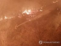 강릉 어단리 주택화재 산불로 번져 0.05㏊ 피해