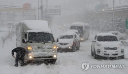 삽으로 치워 보지만