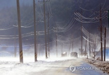 눈보라 치는 강원 태백 고산 도로