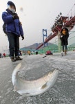 화천산천어축제 낚시 손맛