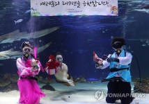 인어이야기민박농수산물 | '인어가 복 나눠드려요'