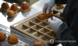 전국으로 가는 함안 곶감