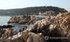 울산 대왕암공원 주차장 유료화…주차난 해소 기대