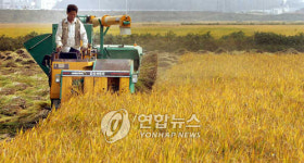 월급 받는 나주 농업인 1천 명으로 는다