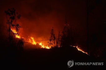칠레 사상 최악 산불과 '사투'…11명 사망ㆍ4천800 소실